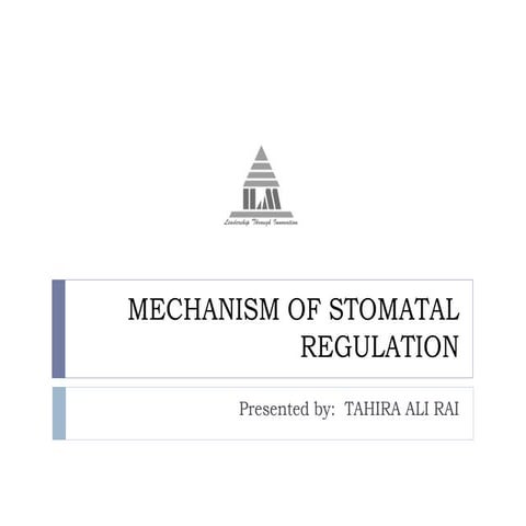 Mechanism of stomatal regulation