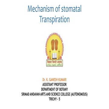Mechanism of stomatal transpiration