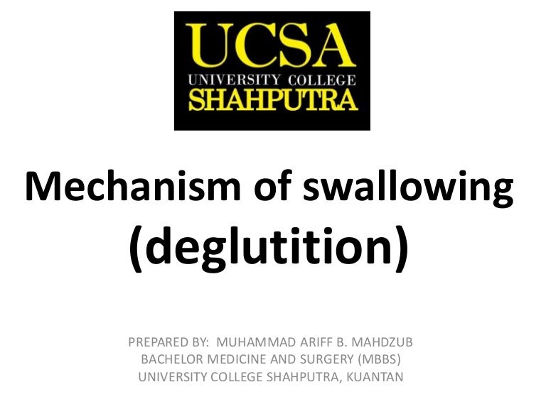 Mechanism of swallowing Biology Diagrams