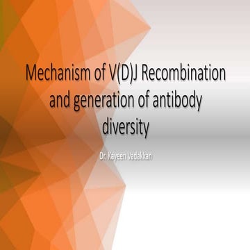 Mechanism of vd(j) recombination and generation of antibody diversity