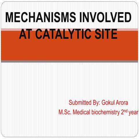 Mechanisms involved at catalytic site