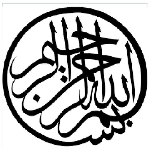 Mechanisms of cell injury