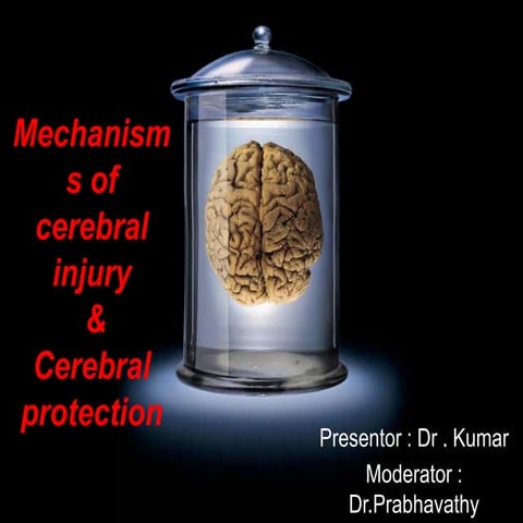 Mechanisms of cerebral injury and cerebral protection