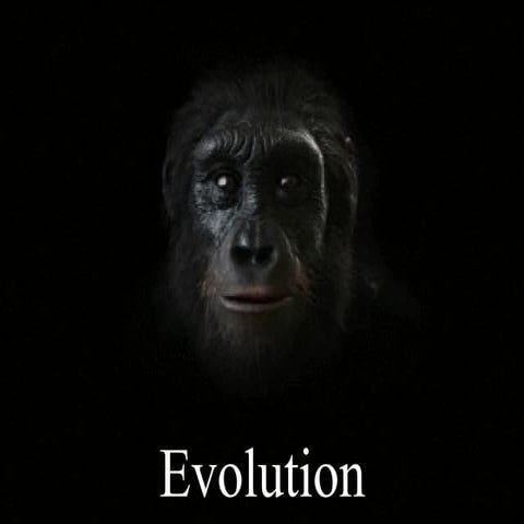 Mechanisms of Evolution. Earth and Life Science.pptx