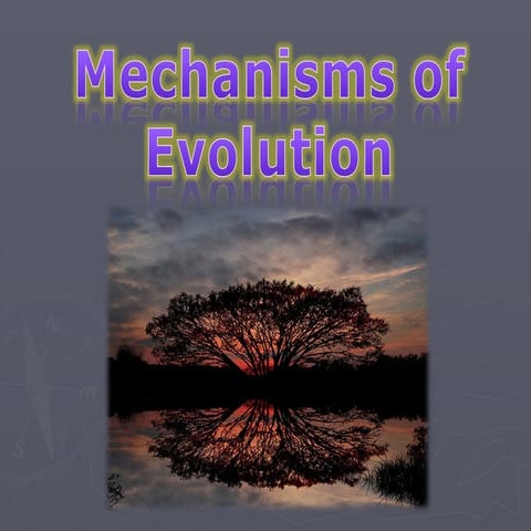 MechanismsofEvolutionCharlesDarwinsTheory-1.ppt