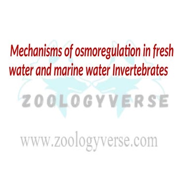 Mechanisms of Osmoregulation in Freshwater and Marine Invertebrates ...