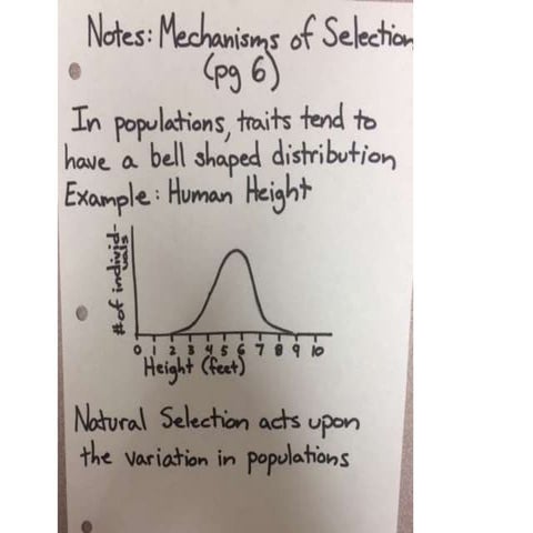 Mechanisms of selection | PPTX