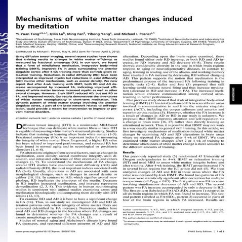 Mechanisms of white matter changes induced by meditation