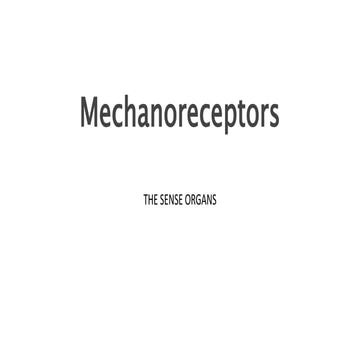 JAndrew/Mechanoreceptors.pptx