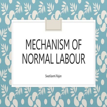 mech of labour final gynaecology presentation pptx | PPTX