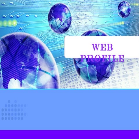 Mecosoft System Webprofile 2006