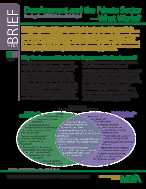 MEDA Private Sector Support Brief