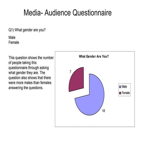 Media  Audience Questionnaire