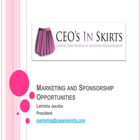 CEOs In Skirts Media Kit