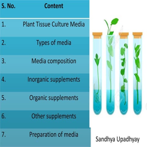 Media composition and preparation