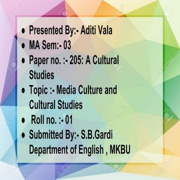 Media culture and cultural studies 