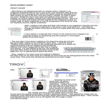 Media development diary word