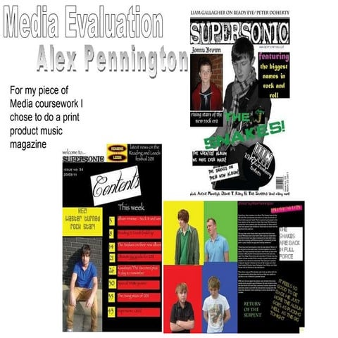 Media evaluation