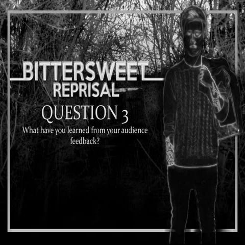 Media evaluation question 3