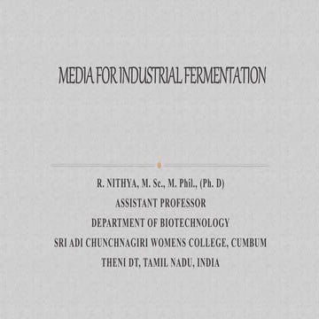 Media for industrial fermentation