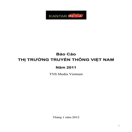 Báo cáo thị trường truyền thông Việt Nam 2011