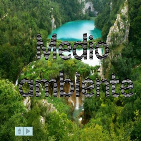 Medio Ambiente Diego Alfonso