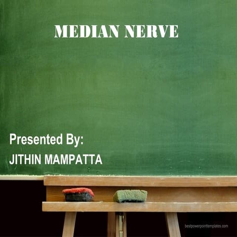 Median nerve