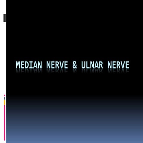 Anatomy of Median Nerve & Ulnar Nerve.pptx
