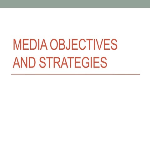 Media objectives and strategies 1.30.13