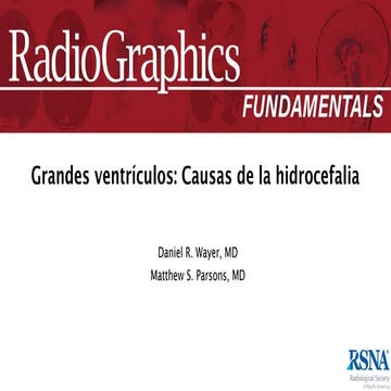 gestion de salud  en el peru 2025 actualizad