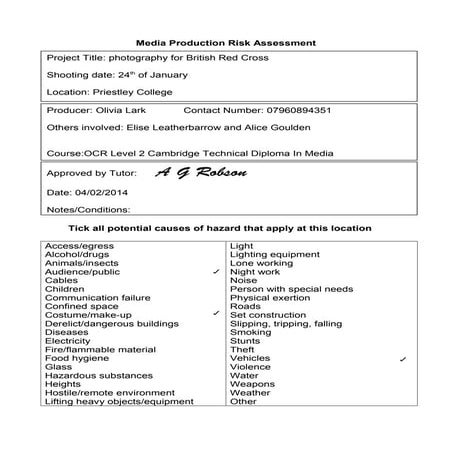 Risk assessment | DOCX