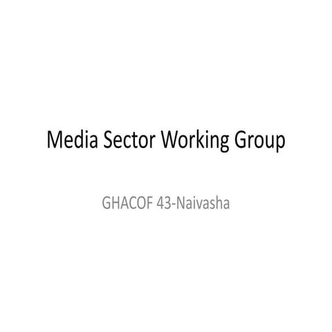 Media sector working group