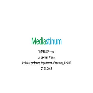 Mediastinum