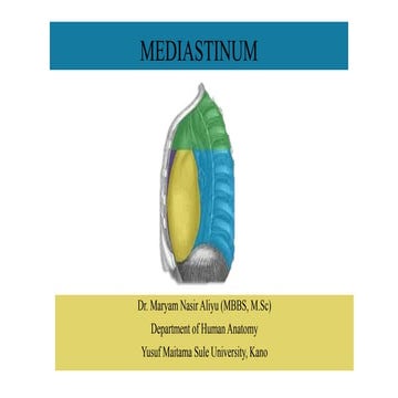 Mediastinum 2020.pdf