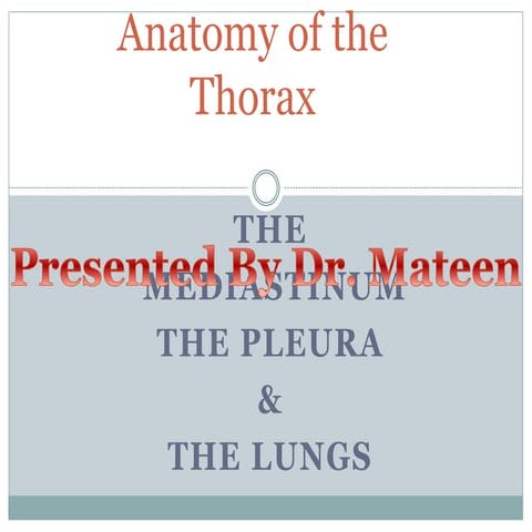 Mediastinum and the pleura