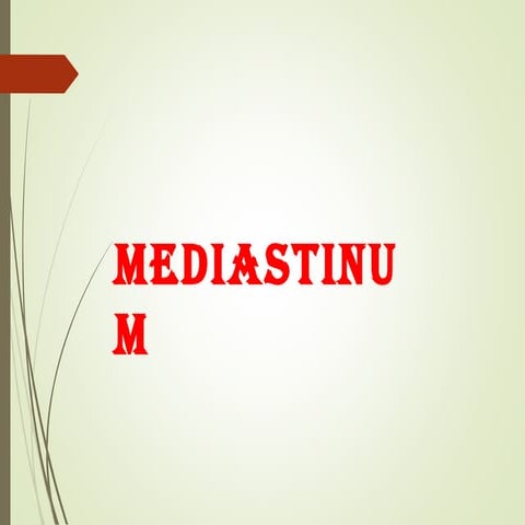 Mediastinum 