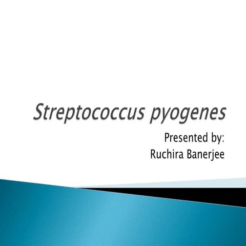 Streptococcus pyogenes