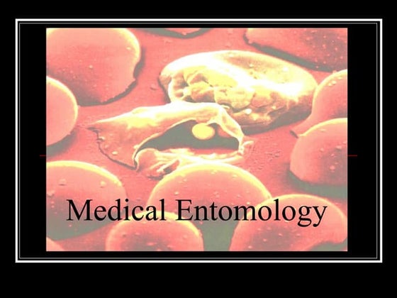 Entomology | PPT | Biological Sciences | Science