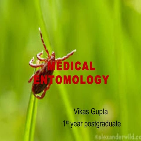 Medical entomology "the need to know about little creatures"