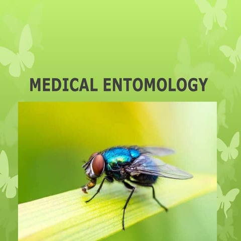 Medical entomology lecture ppt