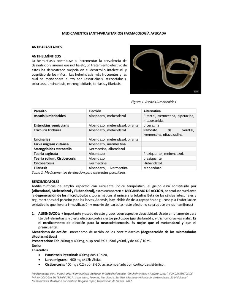 tratamiento oxiuros adultos mebendazol tratamiento oxiuros adultos mebendazol