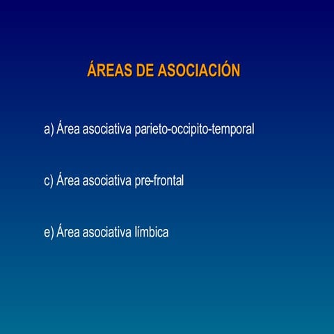 areas asociacion