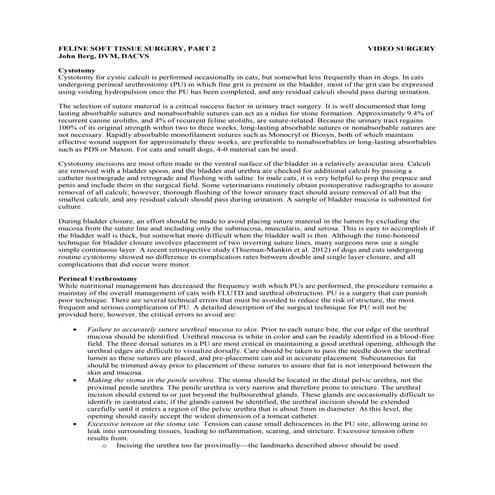 Medicina Felina Hyperaldosteronisme Felin Pas Si Rare Vetbreed