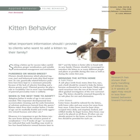 Medicina felina   kitten behavior (1)