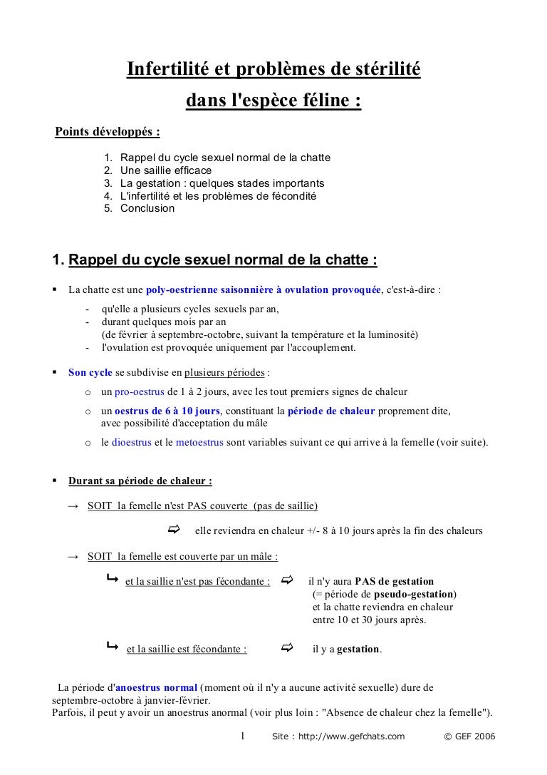 Medicina Felina Reproduccion Felina Infertilite Sterilite