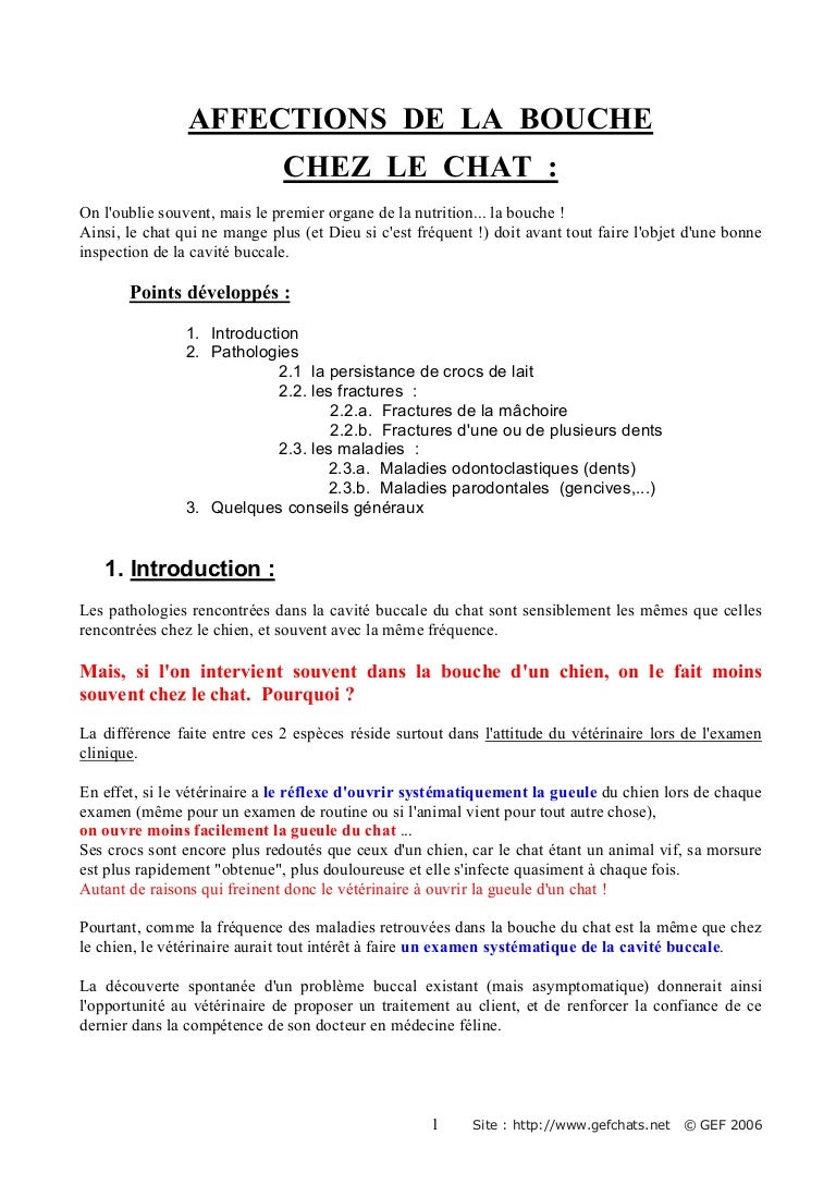 Medicina Felina Stomatologie Pathologie Des Felins