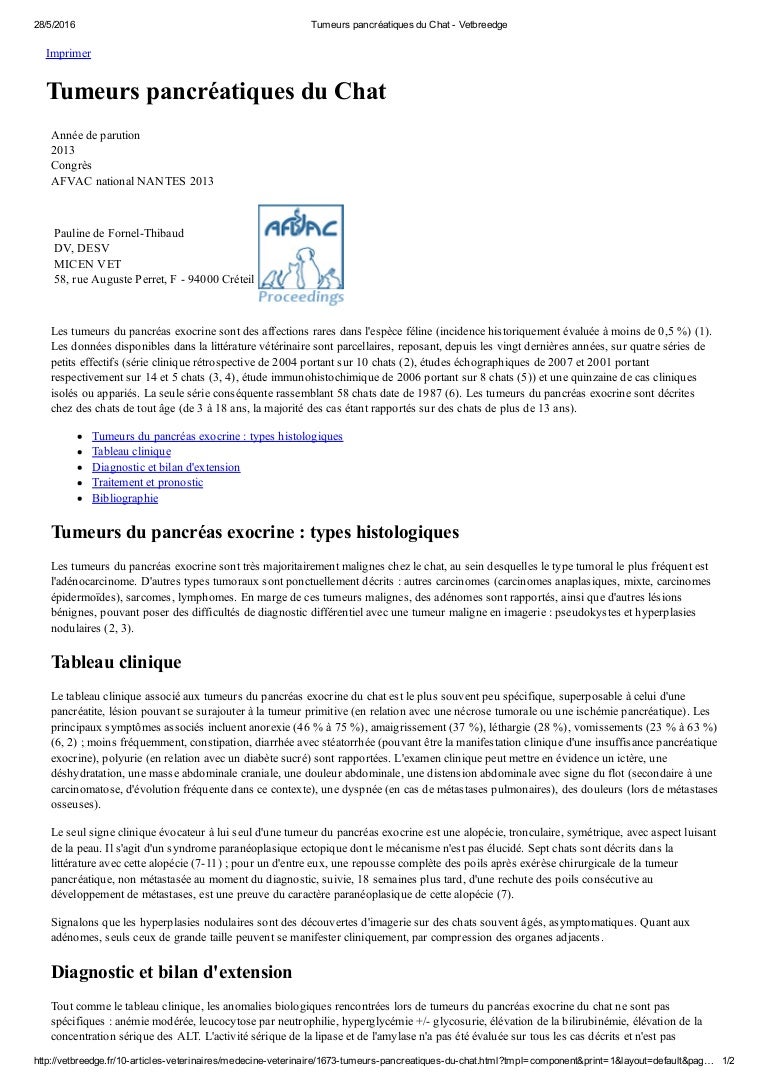 Medicina Felina Tumeur Pancreas Felin