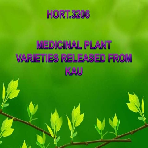 Medicinal plant varieties released from Kerala Agricultural University