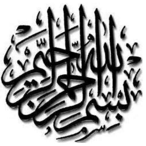 Medicinal plants and  impotence A series of PresentationByMr. Allah D ad K...