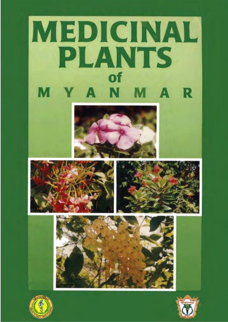Medicinal plants of myanmar